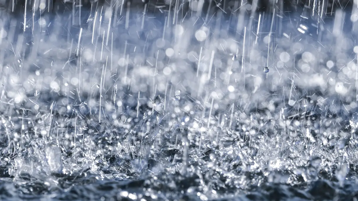 AdobeStock_109444805