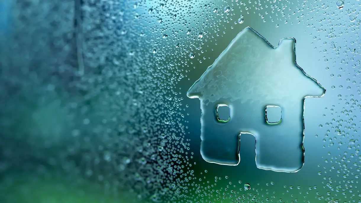 AdobeStock_137880308