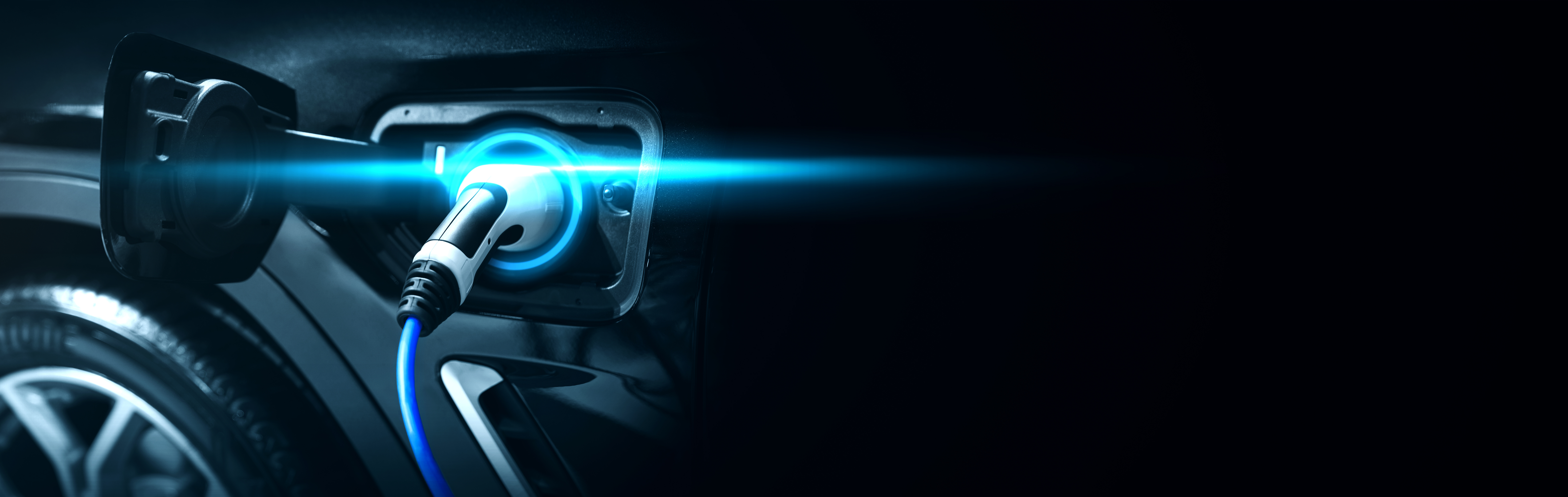 AdobeStock_447006459