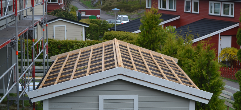 Mosshovedbilde%5B1%5D